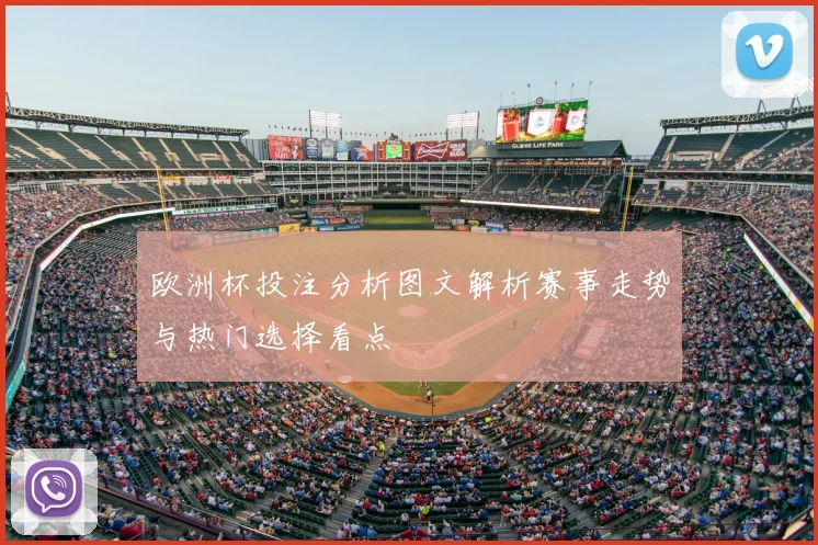 欧洲杯投注分析图文解析赛事走势与热门选择看点