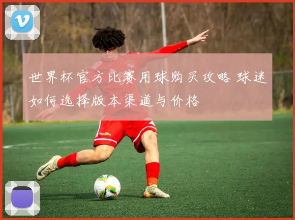 世界杯官方比赛用球购买攻略 球迷如何选择版本渠道与价格