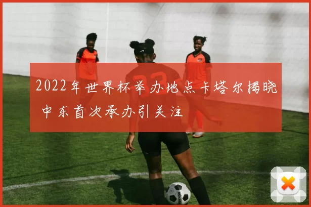 2022年世界杯举办地点卡塔尔揭晓 中东首次承办引关注